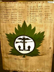 Combined Operations Badges in Day to Day Use