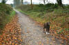 Fund raising walk by Ian Carrington and his two dogs raising 1044.67.