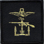 Post WW2 and Modern Combined Operations Badges