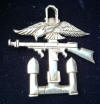 Combined Operations Badges in Day to Day Use