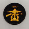 Post WW2 and Modern Combined Operations Badges