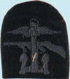 Combined Operations Badge Specimens