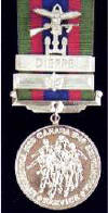 Combined Operations Badges in Day to Day Use
