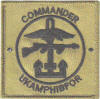 Post WW2 and Modern Combined Operations Badges