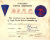 Combined Operations Badges in Day to Day Use
