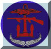 Post WW2 and Modern Combined Operations Badges