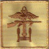 Post WW2 and Modern Combined Operations Badges