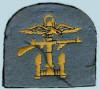 Combined Operations Badge Specimens
