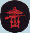 Combined Operations Badge Specimens